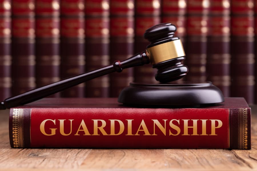 Gavel and Block Sitting on Guardianship Law Book